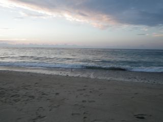 RIMG0232