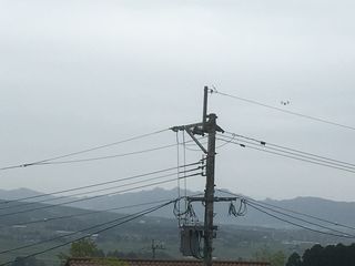 IMG_0758 IMG_0758